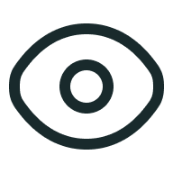 Vision Icon